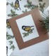 Mydesignpictures kartīte 10*7 cm Tit bird on pure white
